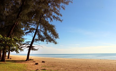 Fototapeta na wymiar Beautiful beach scenery with blue sky, yellow sand and trees