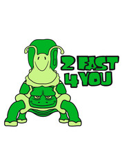 2 fast for you schildkröte 2 freunde team paar langsam von vorne süß niedlich schnecke schleimig klein schneckenhaus kriechen comic cartoon clipart lustig