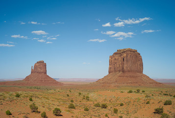 Lonely Landscape with West Mitten Butte, some Green Bushes and Bright Blue Sky - Monument Valley, USA