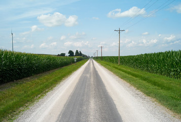 Fototapeta na wymiar Historic US Route 66 Leading Straight to the Horizon with Adjacent Green Corn Fields, Illinois, USA