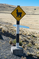 Road Sign Llama Crossing in an Altiplano Landscape in Peru