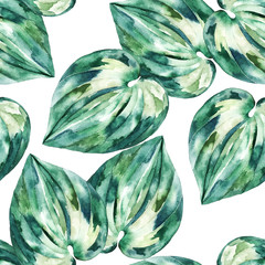 Watercolor exotic seamless pattern, green tropical leaves,  summer hand drawn palm illustration