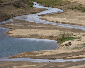 River in Kruger