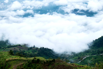 Fototapeta na wymiar Fog in the groove of beautiful mountains