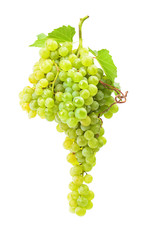 Grapes on a white background