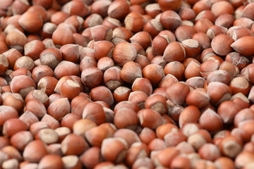 Green natural hazelnut 