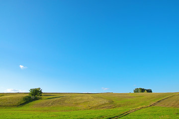 Fototapeta na wymiar beautiful blue sky and trees in the fields