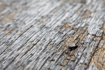 Close up Nails in the old plank