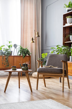 Wooden table next to grey armchair in vintage living room interior with plants. Real photo