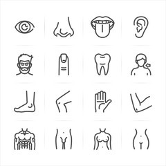 Human Anatomy icons with White Background 
