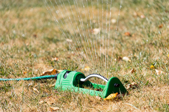 Bew&auml;sserung in einem Garten