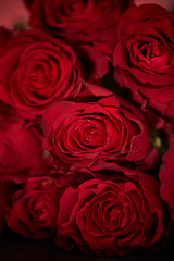 bouquet of red rose