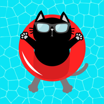 Black cat floating on red pool float water circle. Top air view. Hello Summer. Swimming pool water. Sunglasses. Lifebuoy. Cute cartoon relaxing character. Flat design.