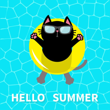 Hello Summer. Swimming pool water. Black cat floating on yellow pool float water circle. Top air view. Sunglasses. Lifebuoy. Cute cartoon relaxing character. Flat design.