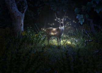 Hirsch und Glühwürmchen im Wald © lassedesignen