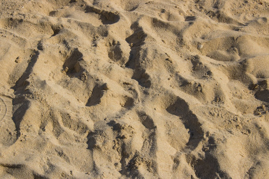 beach sand macro close up
