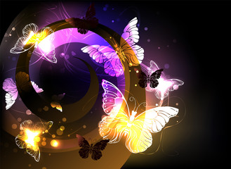 Whirlwind with night butterflies