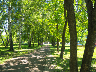 Alley in park