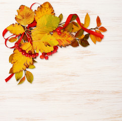 Naklejka na ściany i meble Colorful autumn leaves and red berries in a corner arrangement on white painted wood