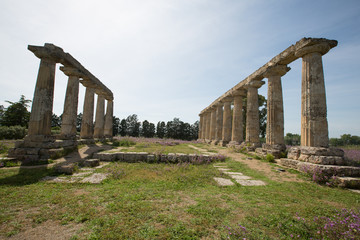 Palatine Tables, Metaponto