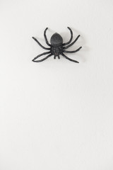 Scary plastic spider for halloween