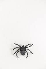 Scary plastic spider for halloween