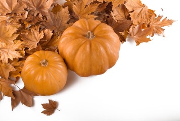 Two Pumpkins With Orange Leaves Close-up