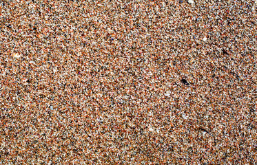 sandy beach texture