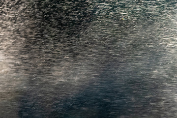 Automatic watering of garden plants