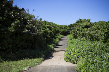 島　道　夏休み