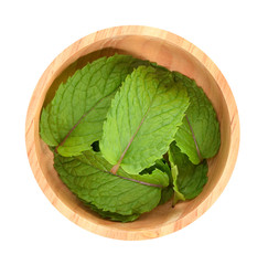 Top view of peppermint isolated on white background.