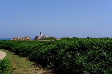 Fototapeta na wymiar Île de Brehat
