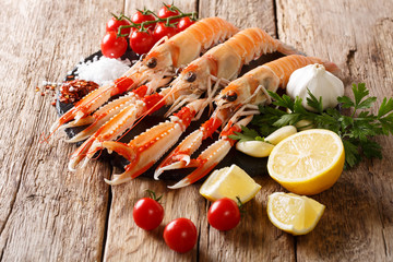 Preparation for cooking raw langoustine, scampi with vegetables, herbs and spices close-up on a...