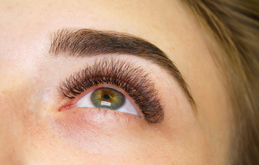 Obraz premium Beautiful macro shot of a female eye with extreme long eyelashes and beautiful eyebrows