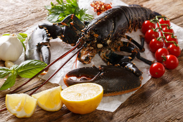 Dedicate raw food: lobster with vegetables and spices for cooking close-up. horizontal