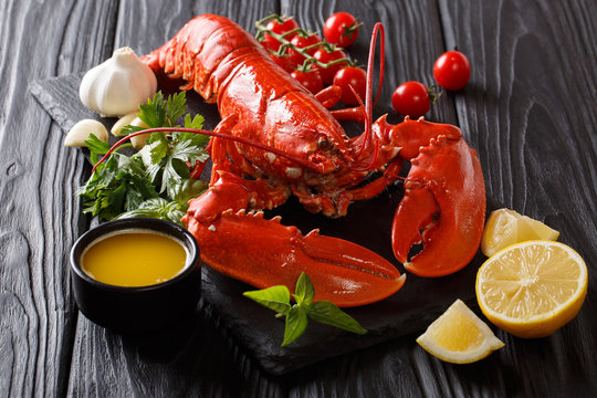 Whole red lobster with fresh parsley, basil, slices of lemon, garlic, tomatoes and butter closeup. horizontal