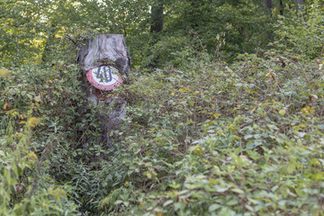 Verkehrsschild in einem Baum eingewachsen