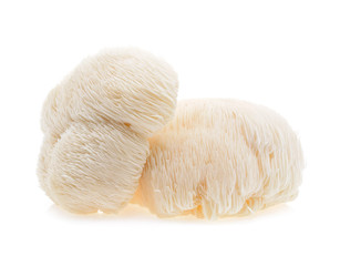 lion mane mushroom isolated on white background. © akepong srichaichana