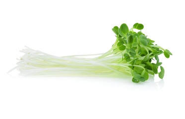 Obraz premium alfalfa sprouts or kai wah-rei on white background