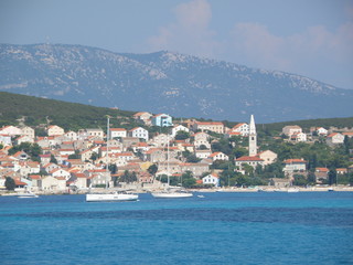 Obraz premium OLYMPUS DIGITAL CAMERA