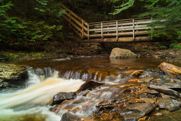 Ancient Waterfall Running Through An Old Growth Forest