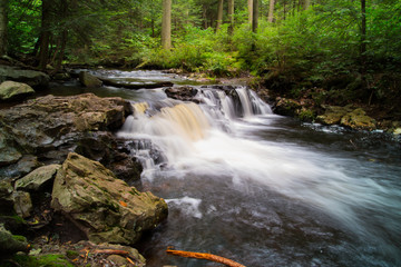 Ancient Waterfall Running Through An Old Growth Forest