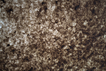 Backlit Paper Background, Backdrop