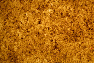 Backlit Paper Background, Backdrop