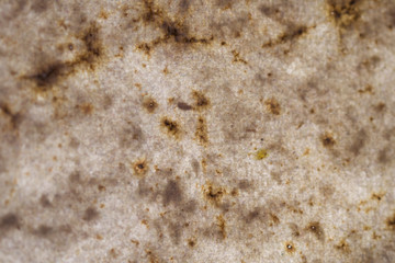 Backlit Paper Background, Backdrop