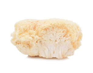 lion mane mushroom isolated on white background. © akepong srichaichana