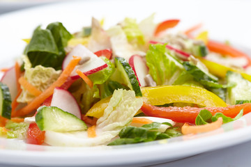 fresh salad