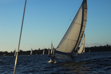 Fototapeta premium Manipuluj wiatrem