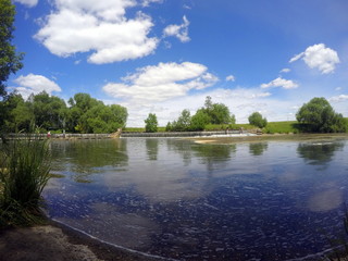 into the woods, timber on the riverside