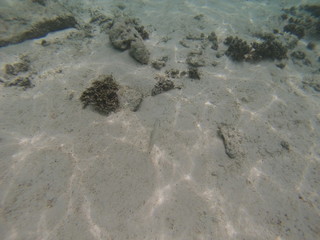 Ile Maurice 